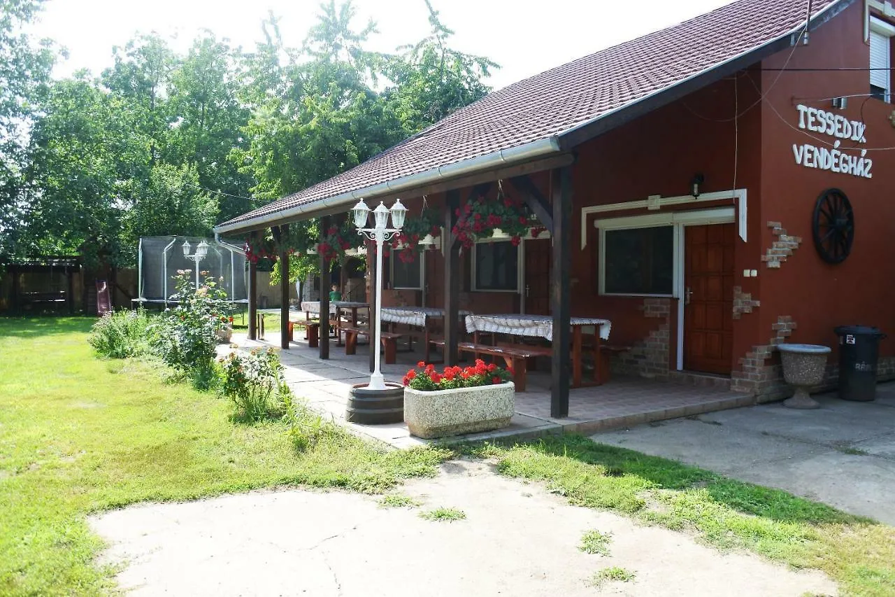 Tessedik Vendeghaz Apartment Hajduszoboszlo 0*,